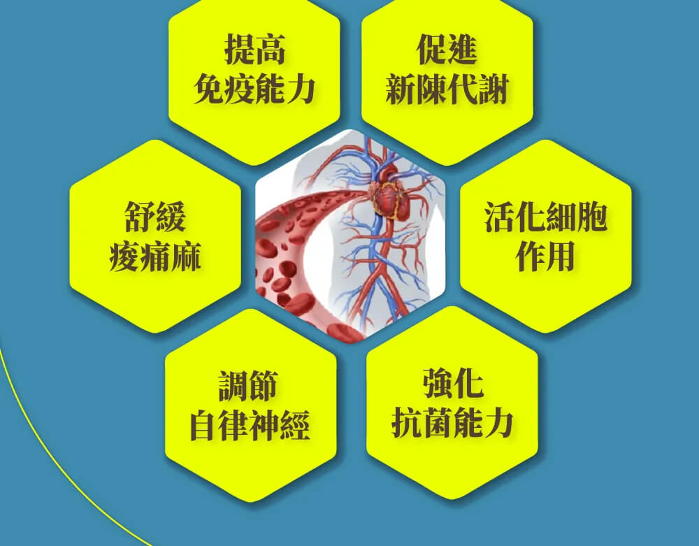 科技纖維記憶枕